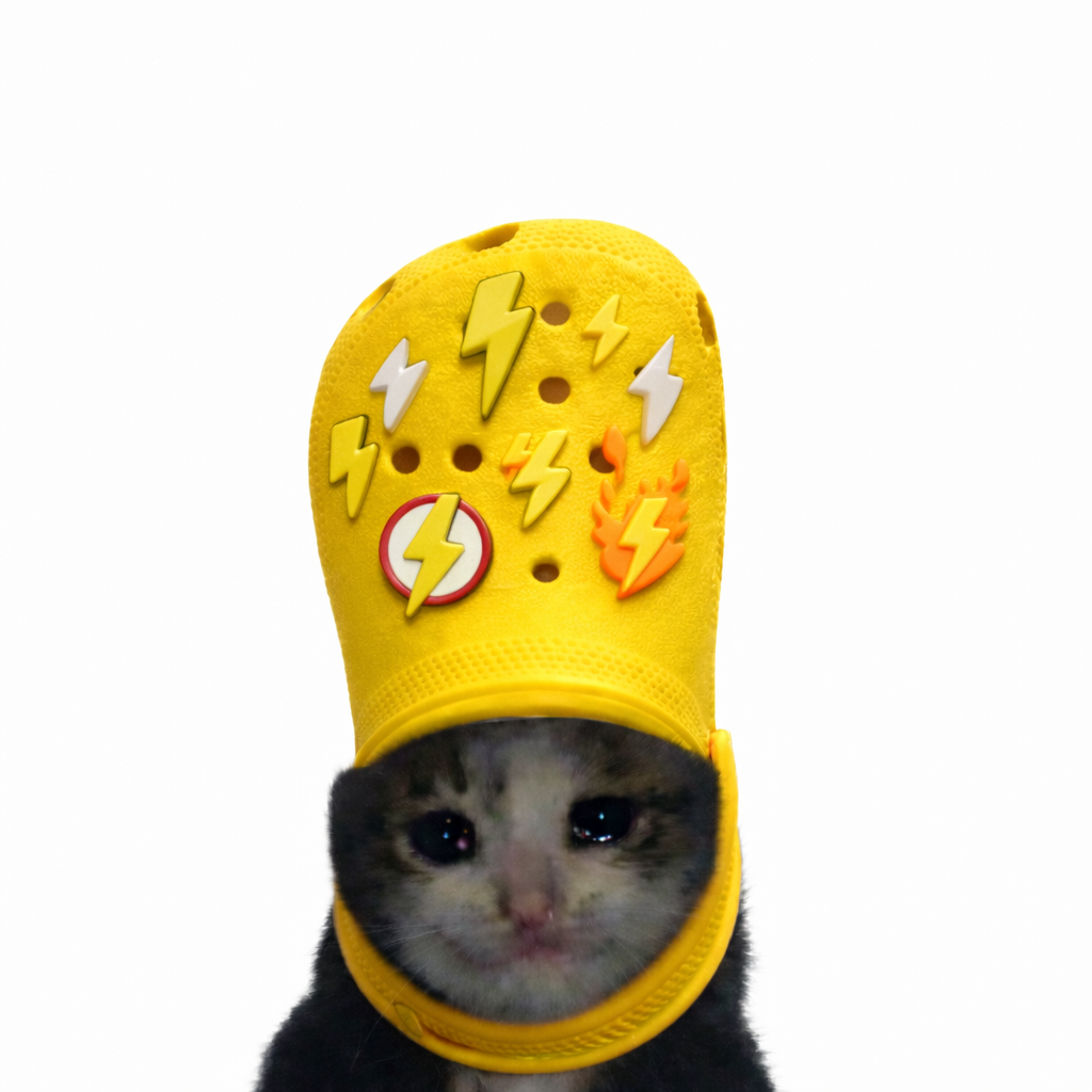 croc cat meme