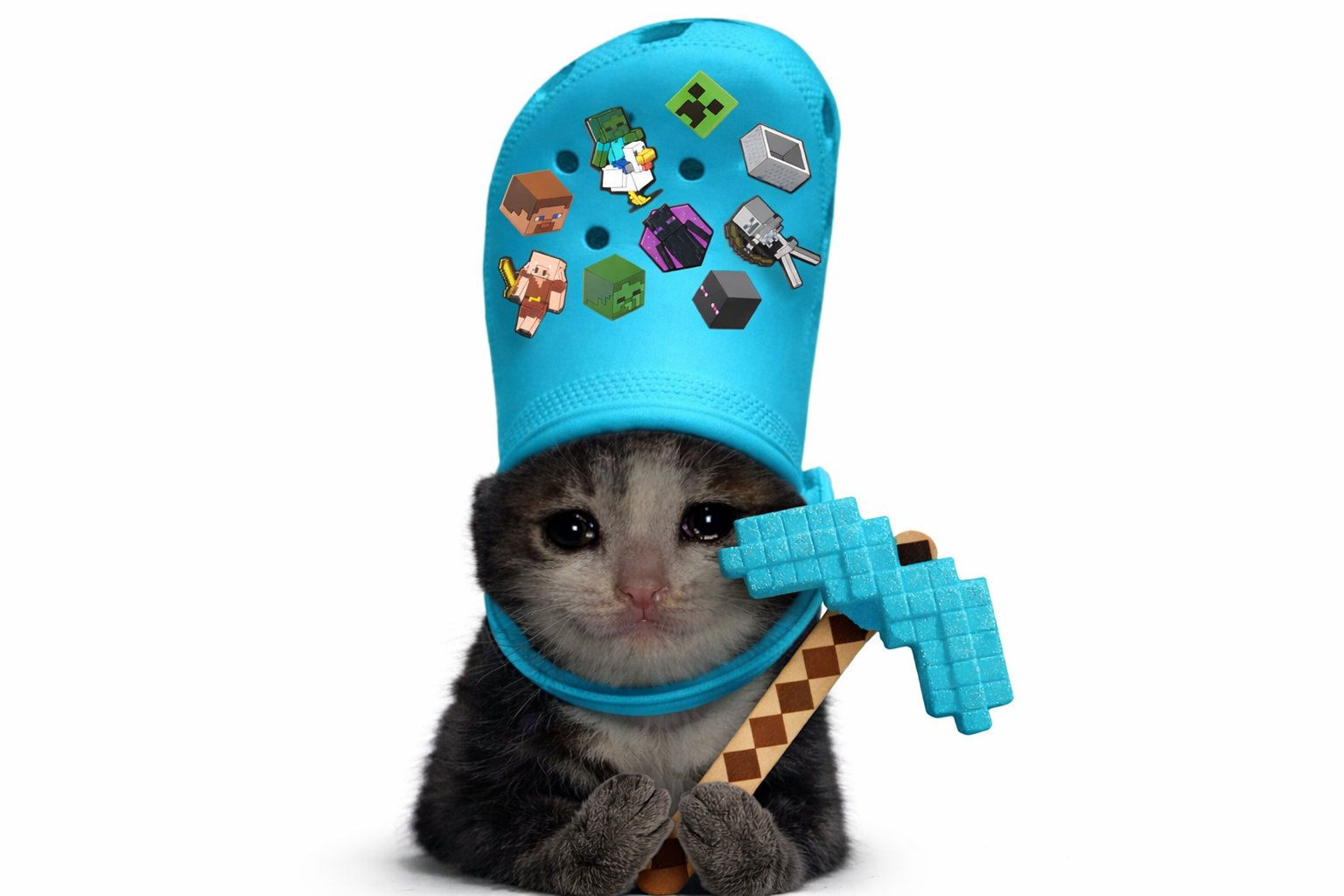 croc cat meme